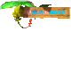 KapiBados
