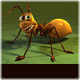 Antswar