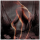 Legend of Aphroditus Legend of Aphroditus