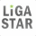 LIGASTAR - Dein Fussballspieler LIGASTAR - Dein Fussballspieler