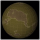 Dark-Enwor Dark-Enwor