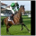 Virtual Galopp Second Edition Virtual Galopp Second Edition