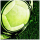 eckstossonline eckstossonline
